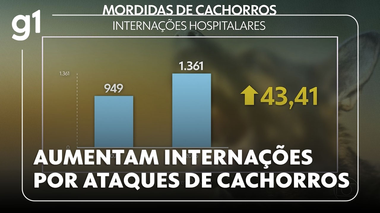 JH: Número de internações por causa de mordidas de cachorro aumenta mais de 40% nos últimos 5 anos