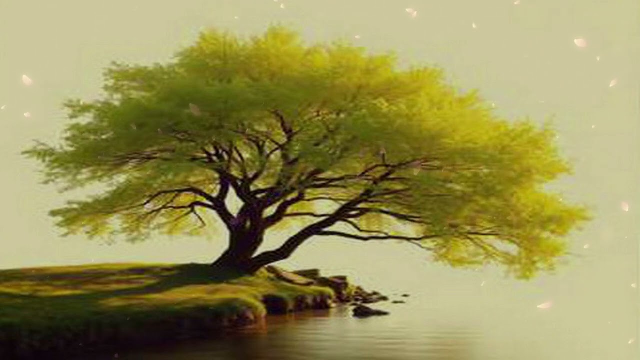 The Rebirthing Kiss | Nụ Hôn Tái Sinh