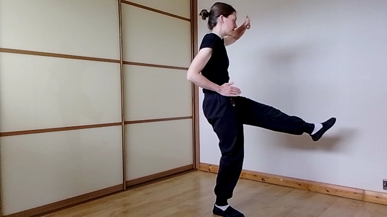 Li Style Flying Hand Form Moves 6 to 10