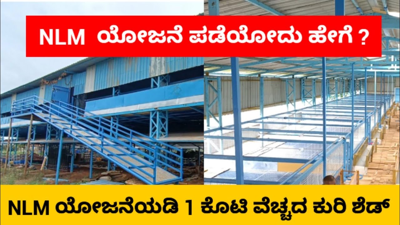 NLM ಯೋಜನೆ ಇಂದ 1 ಕೊಟಿ ಬೆಲೆಯ ಕುರಿಷೆಡ್ ನಿರ್ಮಾಣ | NLM Scheme | Kurisakaike |