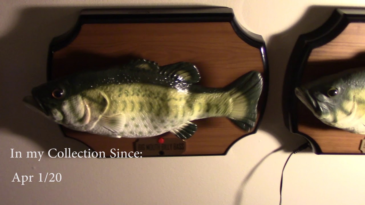 My Original Big Mouth Billy Bass Collection May 2020