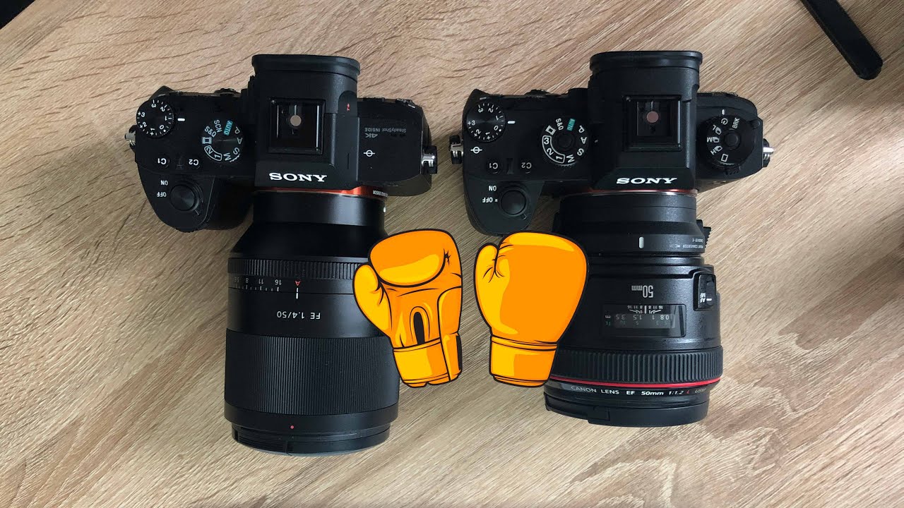 50 1.2 CANON VS SONY FE PLANAR 50 1.4