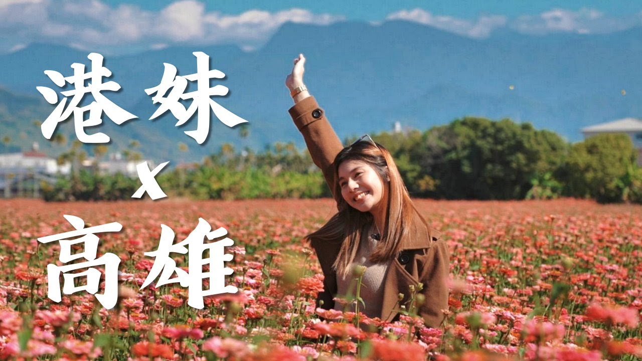 我在高雄！過年走春景點 2023免年美濃花海 花況極好的一年！百日草 大波斯菊 向日葵 超好拍！【AV IN TAIWAN】我的台灣地圖 MY TAIWAN MAP A7SIII