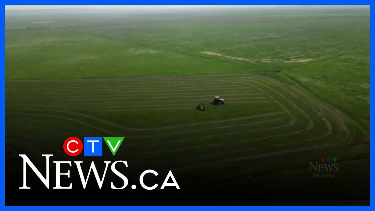 Changes coming to Saskatchewan's AgriStability program