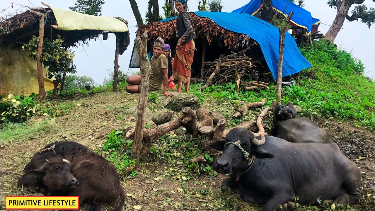 Beautiful Nepali Mountain Village Simple Happy Lifestyle | Rural Nepal Quest | Nepali Village Life