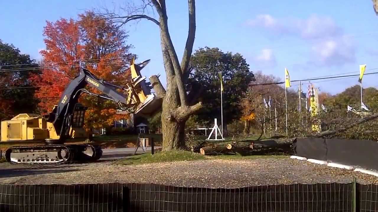 Tigercat feller Buncher 2