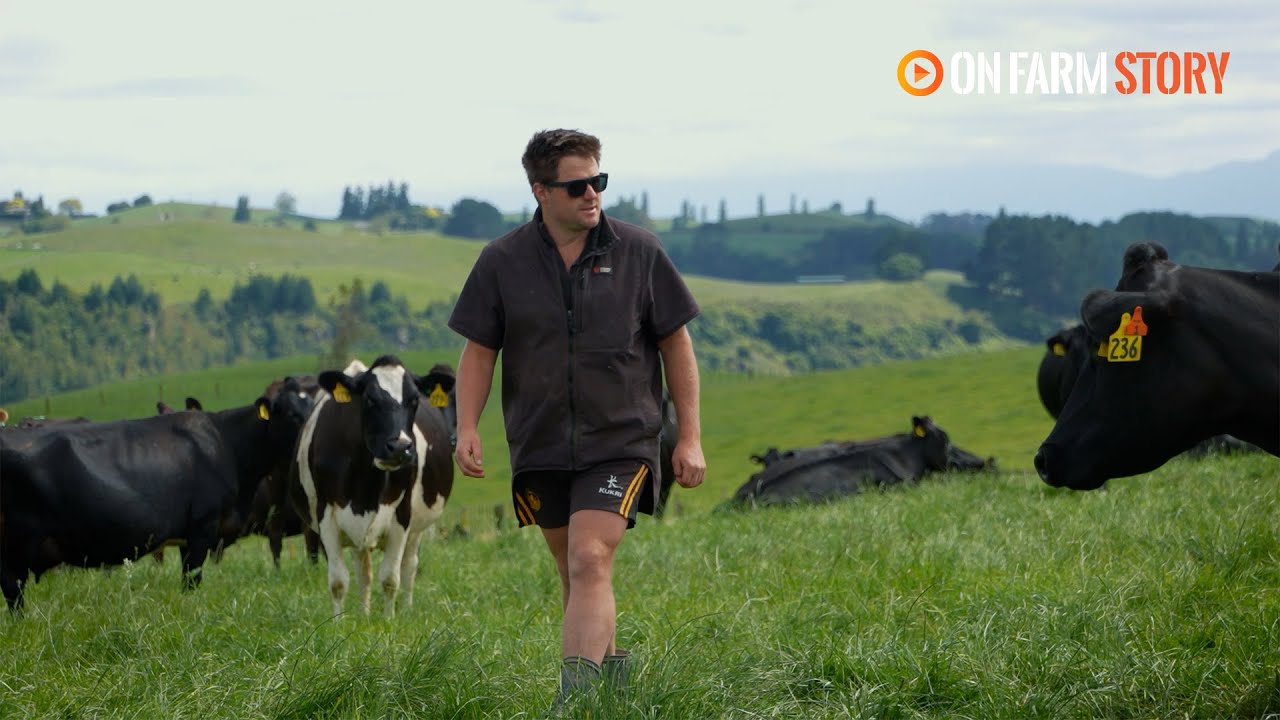 Consistency grows confidence for sharefarmers | On Farm Story