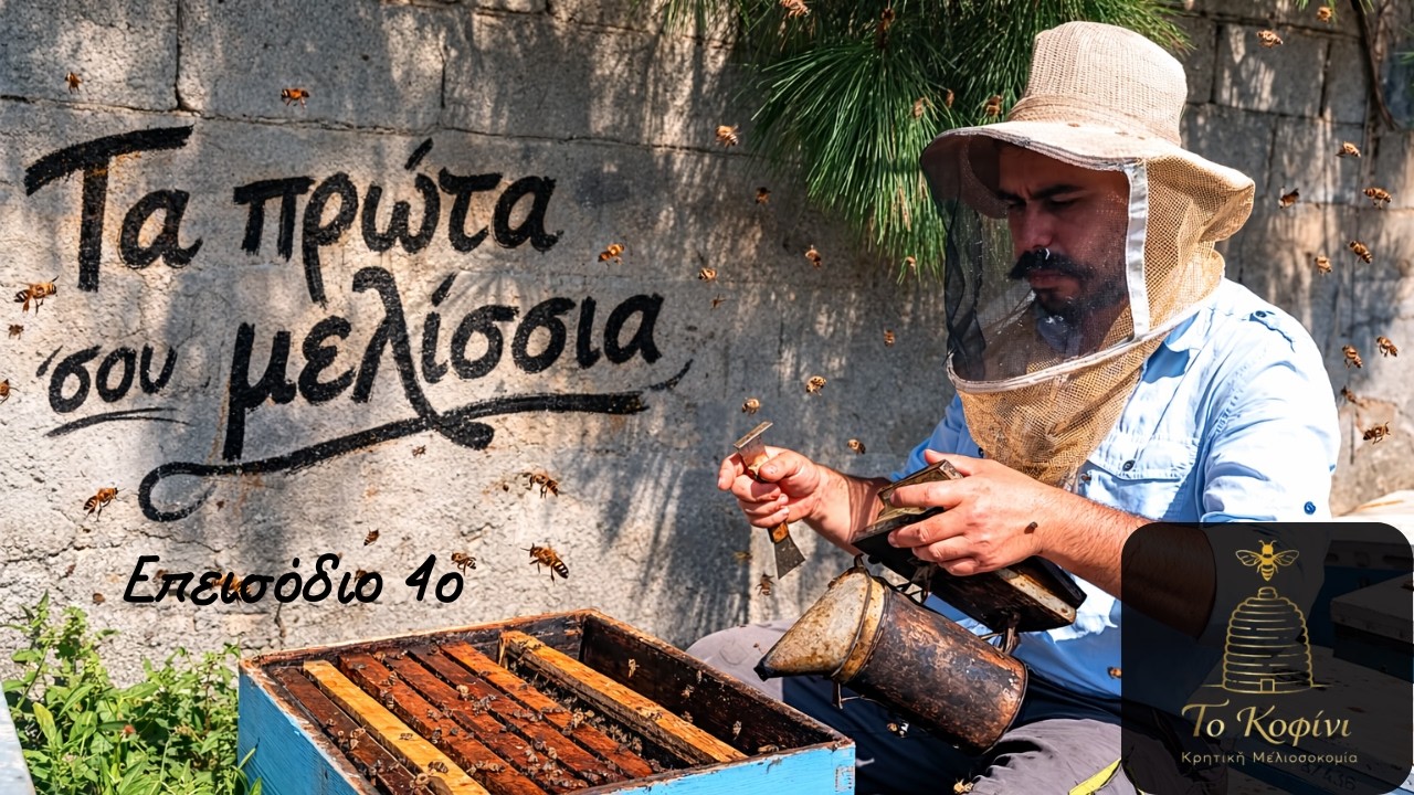 Χειρισμοί ανάπτυξης για αρχάριους | Πως να γίνεις μελισσοκόμος | Το ΚοΦίνΙ