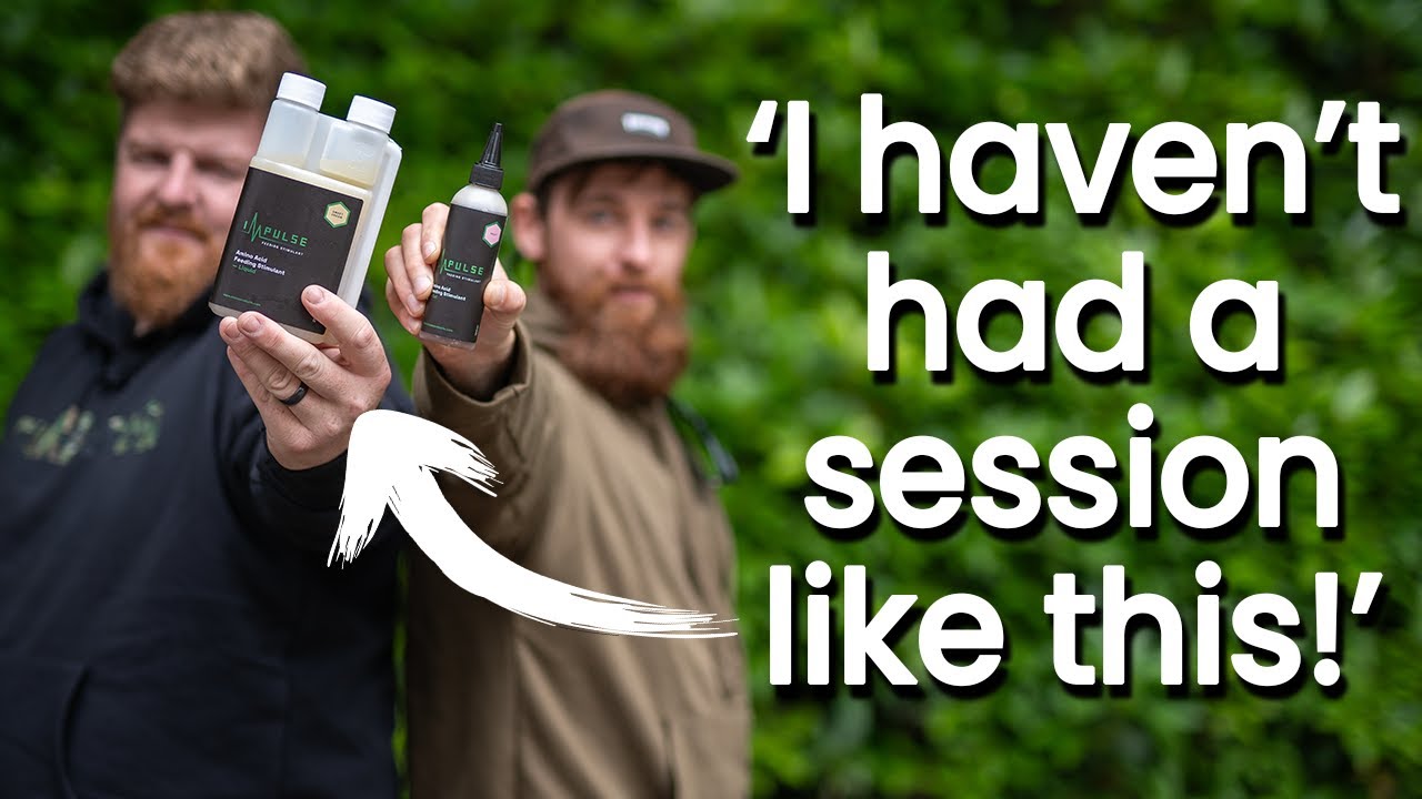 We gave 'Impulse' to the experts... | CARPology Review