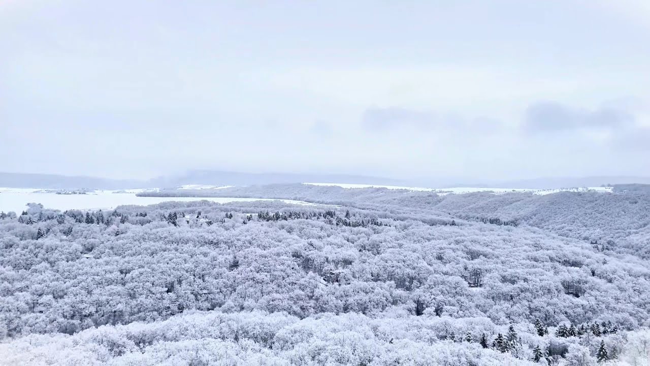 Havas Börzsönyliget 2024.12.23