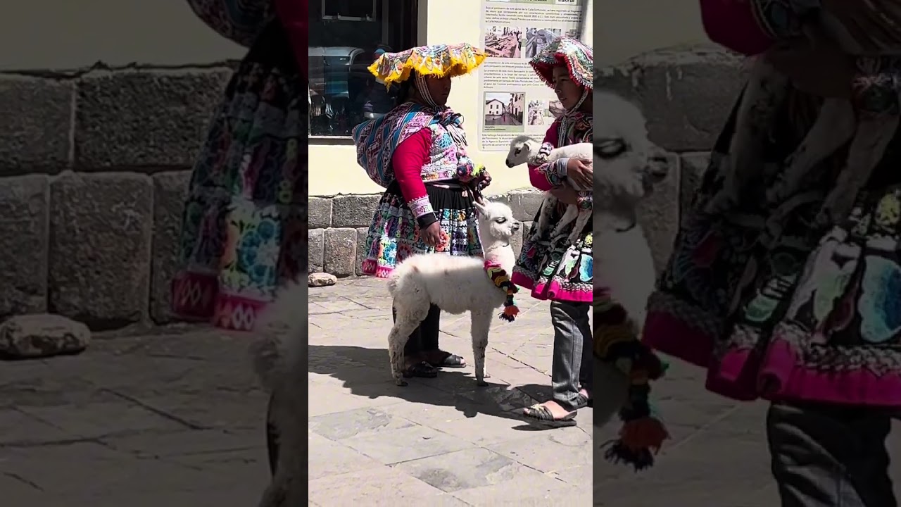 Peru🇵🇪 Trip, 2025 