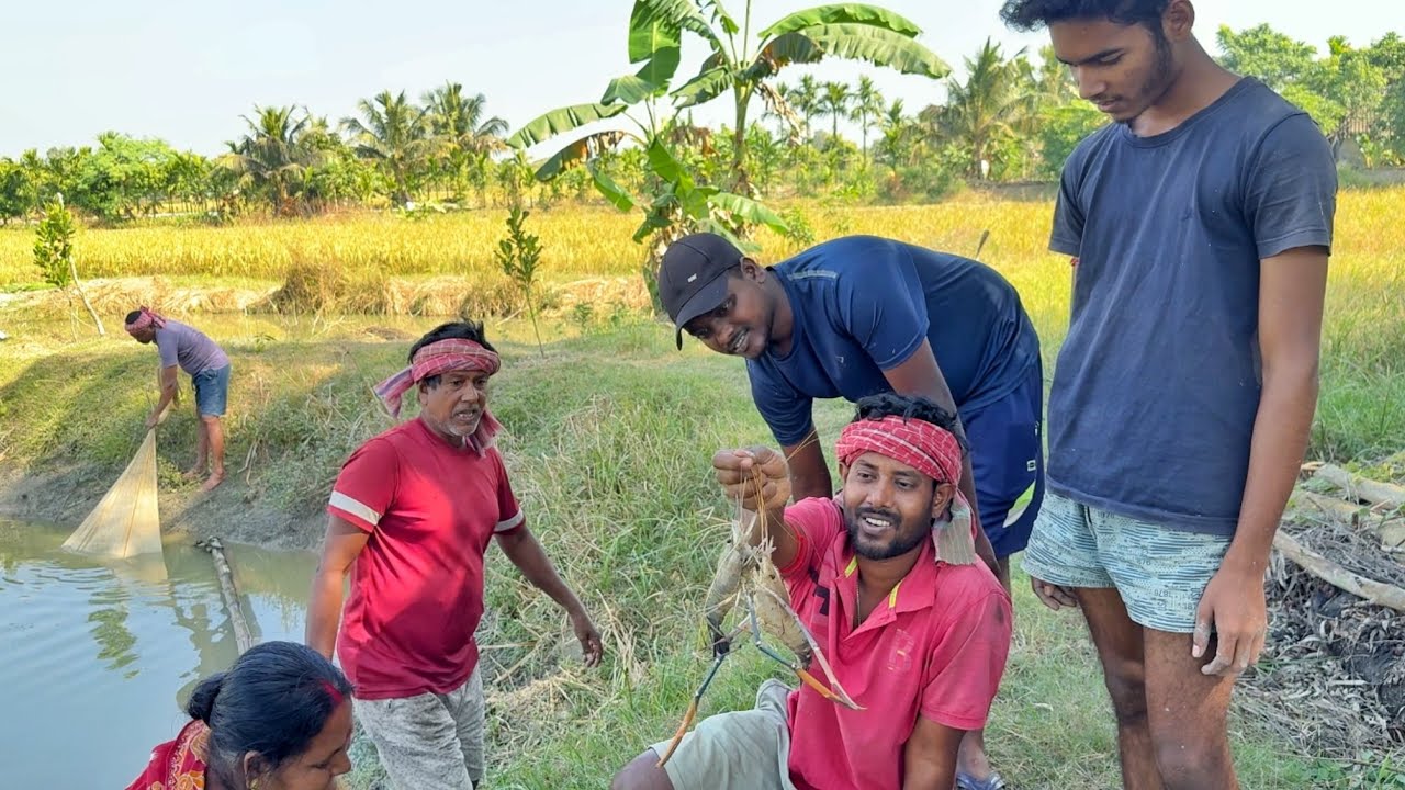 দুই গাছ খ্যাওলা জাল দিয়ে,দুই বছরের পুরনো সব চিংড়ি মাছ ধরলাম!!!