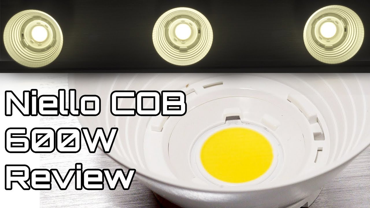 COB LED Grow Light Niello 600W Reflector Review/Unboxing