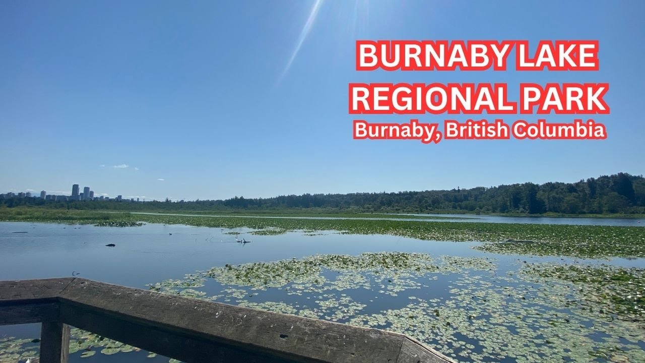 Burnaby Lake Regional Park - Walking Tour