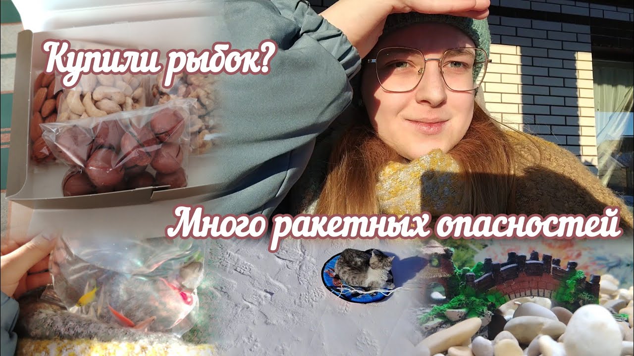 VLOG Много ракетных опасностей⚠️ Купили рыбок?🐟