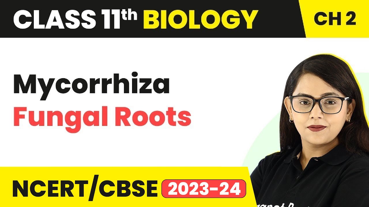 Mycorrhiza (Fungal Roots) - Biological Classification | Class 11 Biology Chapter 2 | NCERT/CBSE