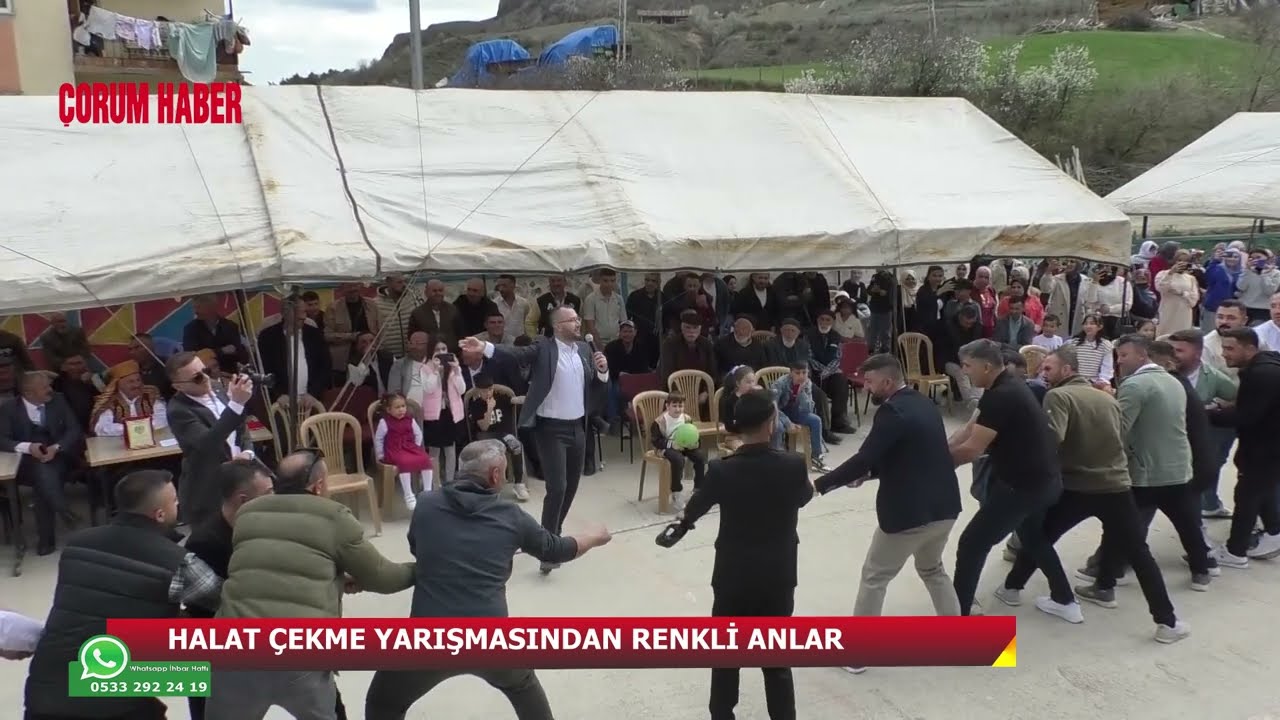 Çorum'da halat çekme yarışmasında ip koptu! O anlar renkli görüntülere sahne oldu