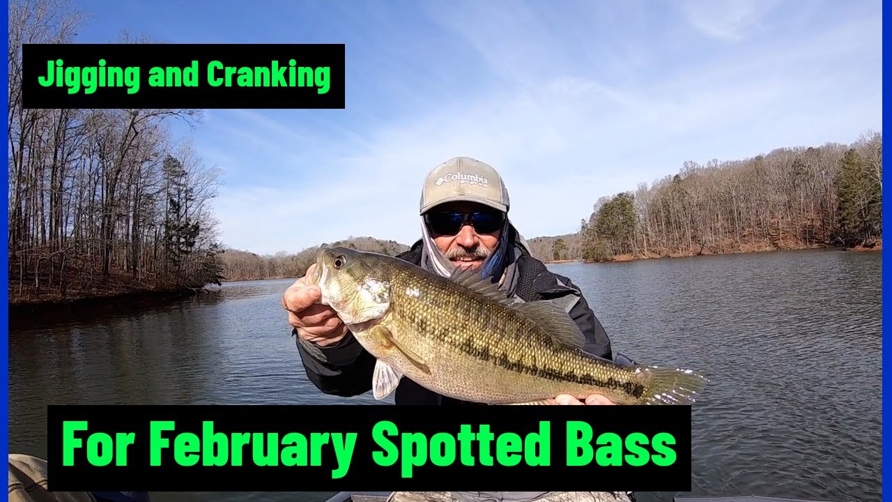 Jigging and Cranking For February Spotted Bass #lakelanierfishing2023