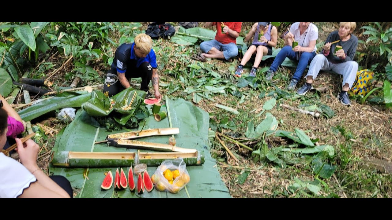 Trekking on the Mountain and Jangle. Chiang Rai-