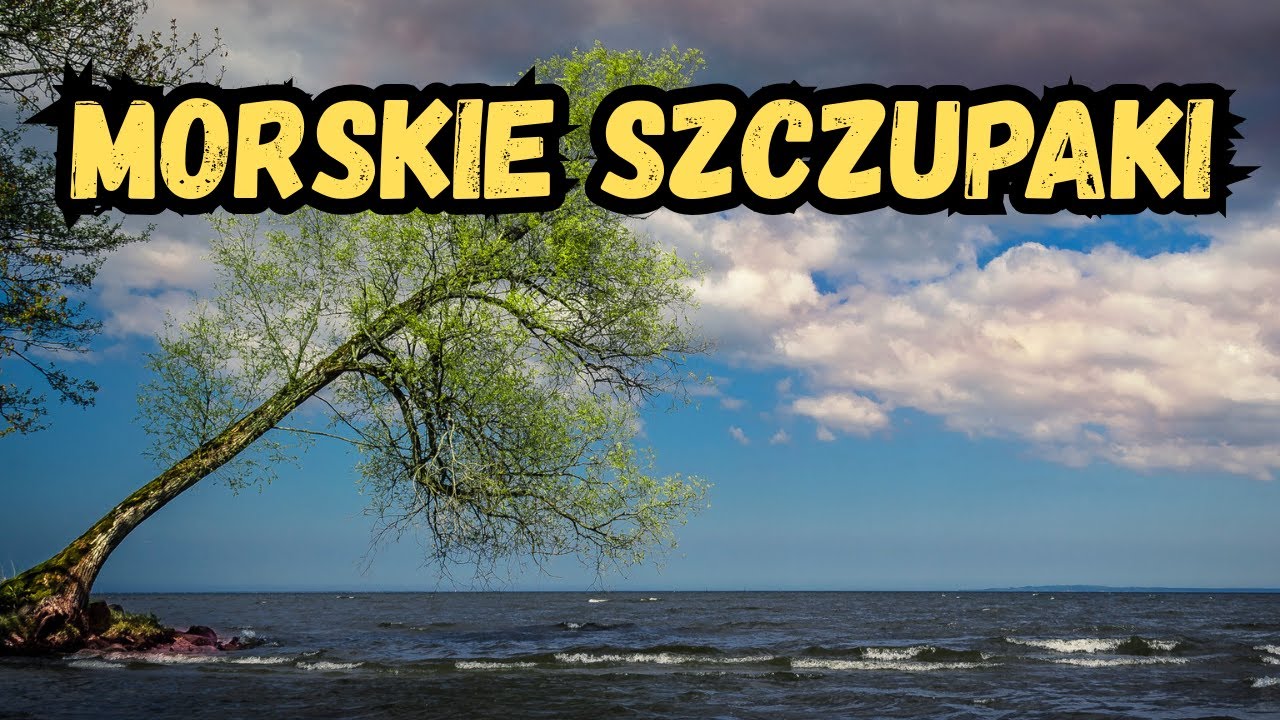 SZCZUPAKI ODPALIŁY NA WODACH MORSKICH ! [DUŻO BRAŃ]