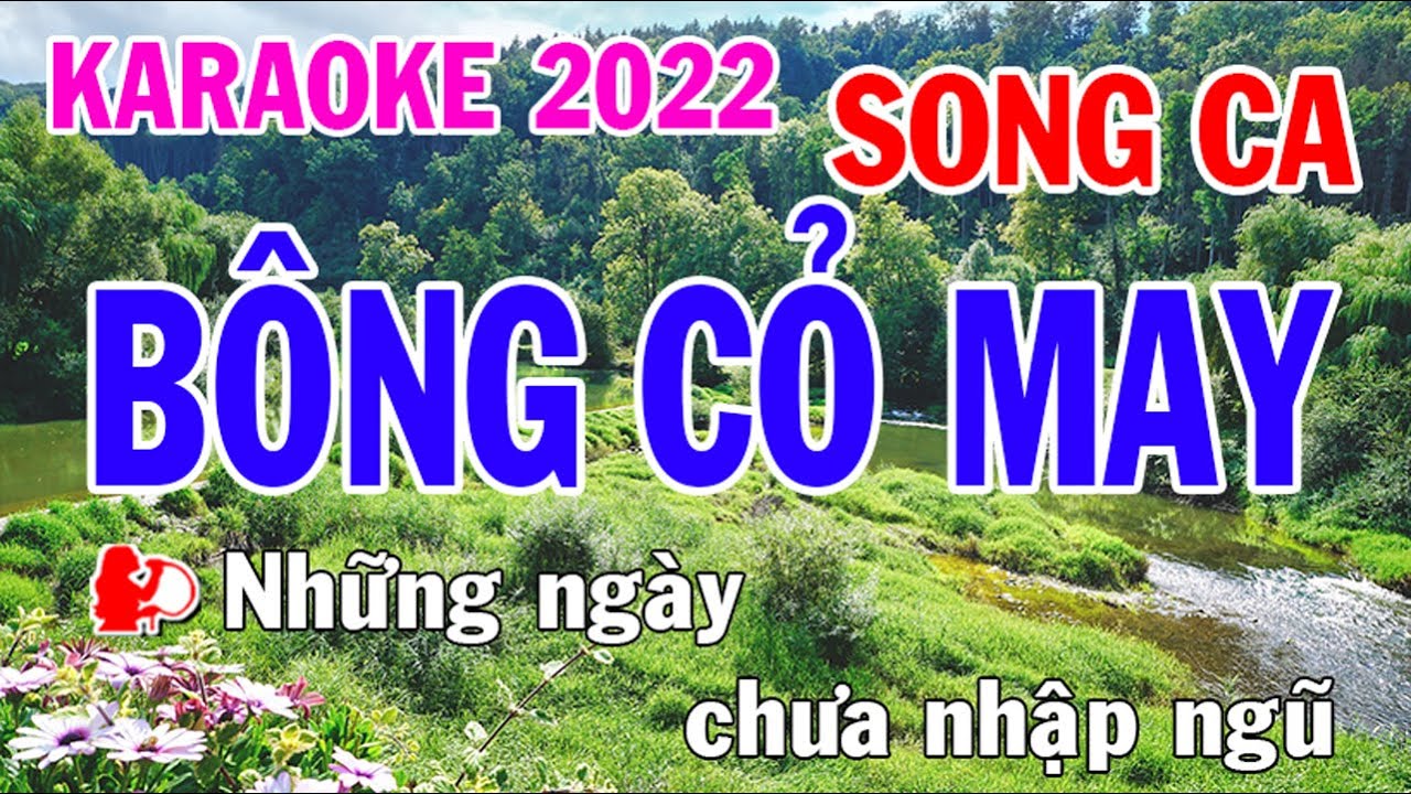 Bông Cỏ May Karaoke Song Ca Nhạc Sống - Phối Mới Dễ Hát - Nhật Nguyễn