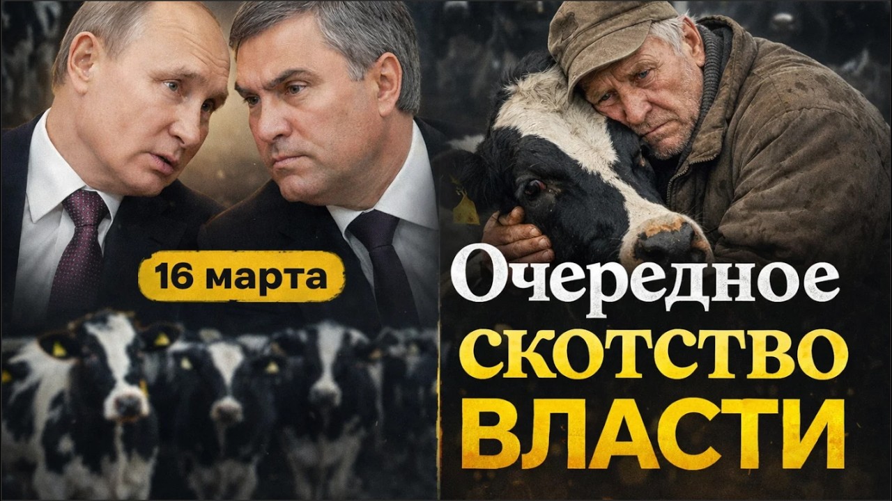 Забой скота /Стендап от Володина/Жизнь по согласованию с ФСБ/ Штраф за Верку Сердючку/ Хаменеи в МСК