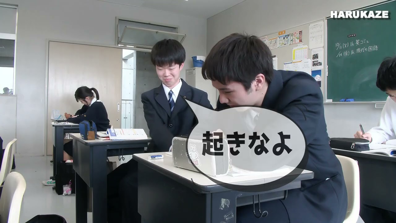 HARUKAZE　LIFE