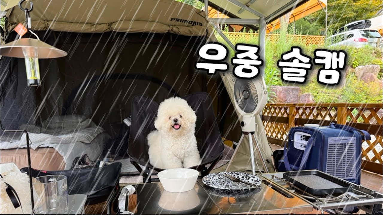소나기 내리는 여름날 돔텐트로 강아지와 미니멀 솔캠  / 제천 달재오토캠핑장 / 프리모돔 에어텐트