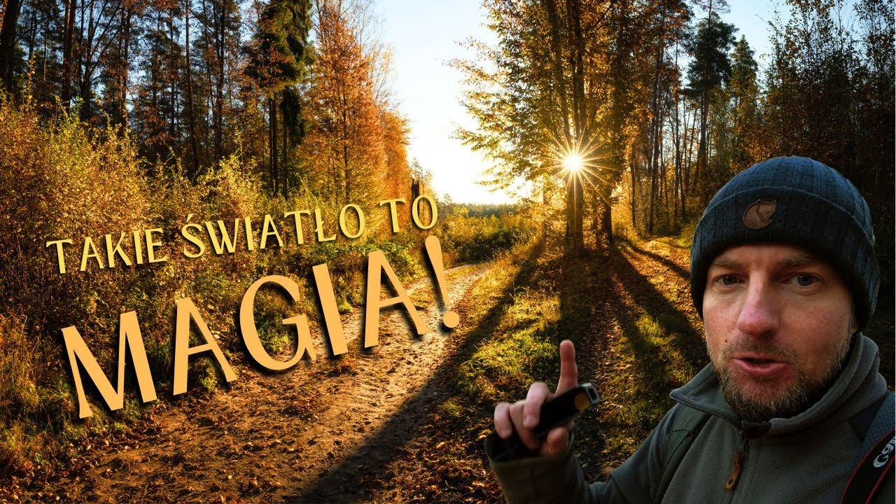 Tego Trzeba Szukać w Jesiennym Lesie! - Magia Światła i Koloru | Fotografia Krajobrazowa