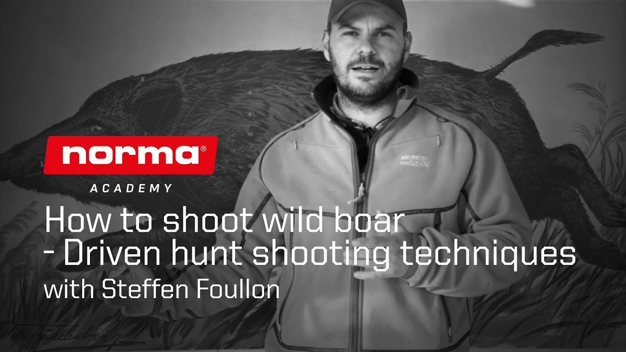 How to shoot wild boar &ndash; Driven hunt shooting techniques | Norma Academy