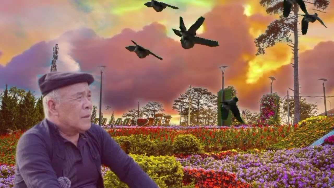 20 tháng 11, 2025
