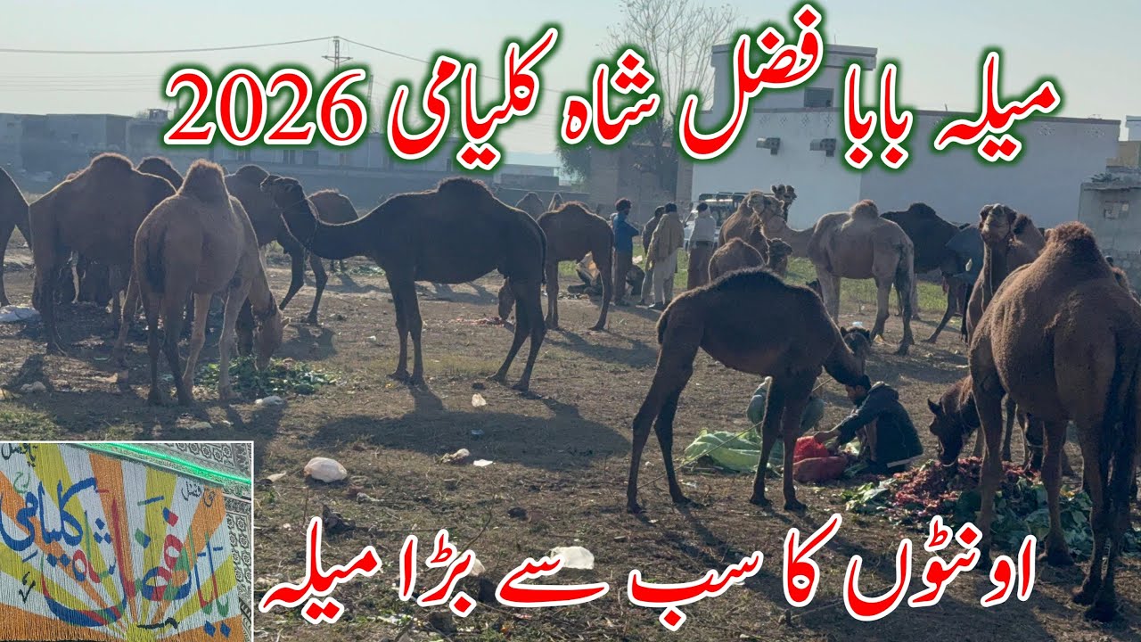 Kalyam Sharif Mela 2026 | Baba Fazal Shah Kalyami (R.A.) | Full Coverage Mela Kalyam Sharif |