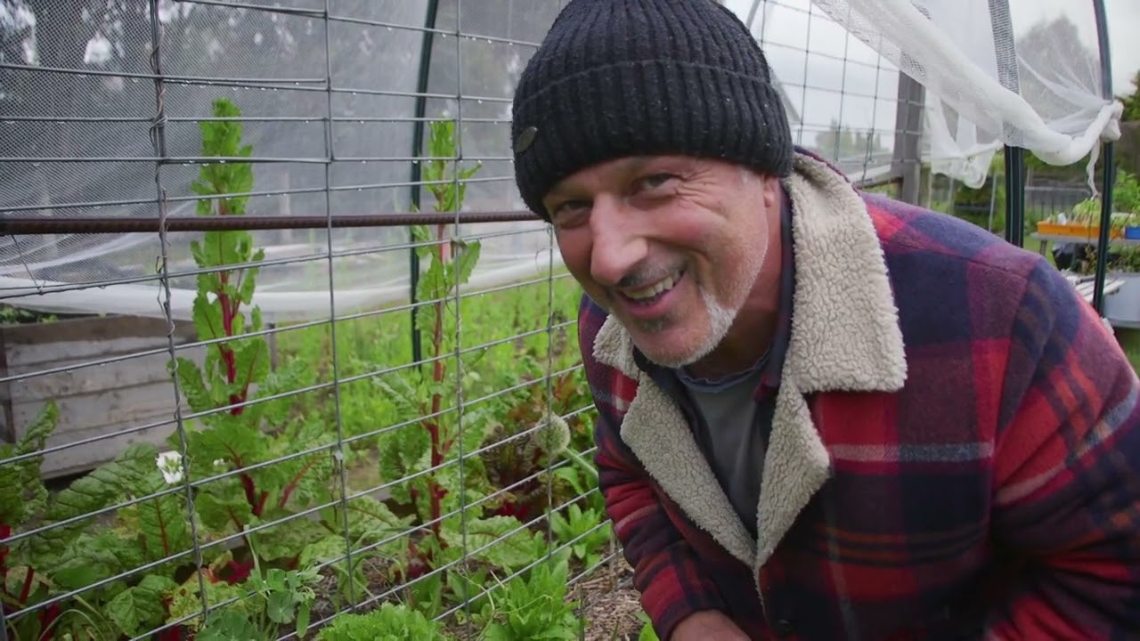 How To Water Proof Your Garden From Too Much Rain.