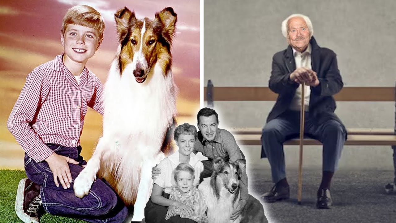 LASSIE (1954–1974) Cast THEN AND NOW 2023 Who Is Still Alive From Lassie?