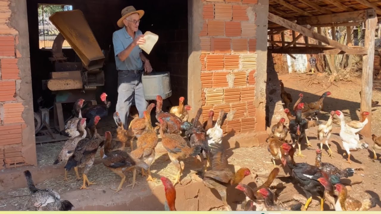 SEU ZÉ PEDRO MOSTRA SUA CRIAÇÃO QUE MANTÉM A MAIS DE 30 ANOS