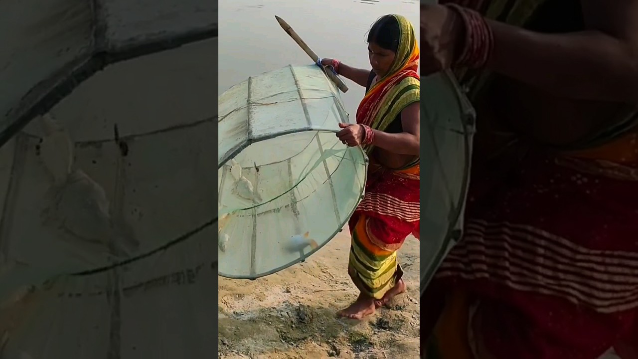 Unique fishing techniques ! fish catching technique in pond ! river fishing tips and technique,video