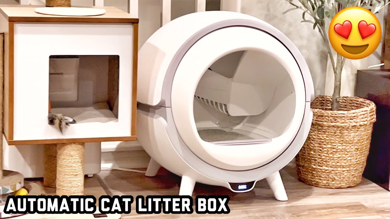 Automatic Cat Litter Box: Odor-Free & Hassle-Free【Review82】