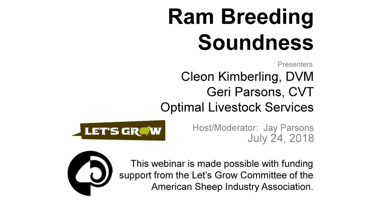 Ram Breeding Soundness (24)