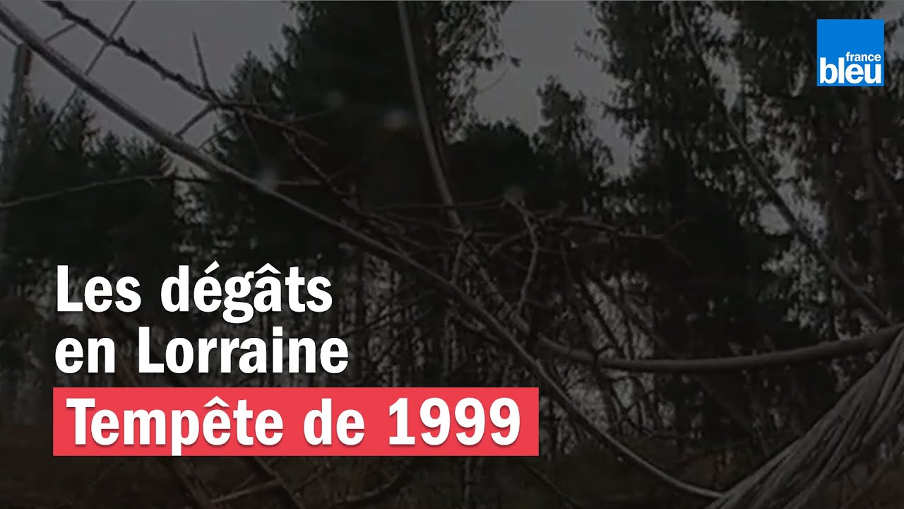 Tempête de 1999 : les dégâts en Lorraine