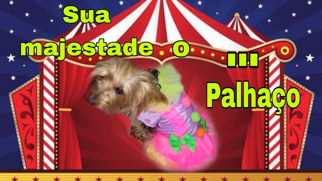 Fantasia de palhacinho/ Molde na descrição