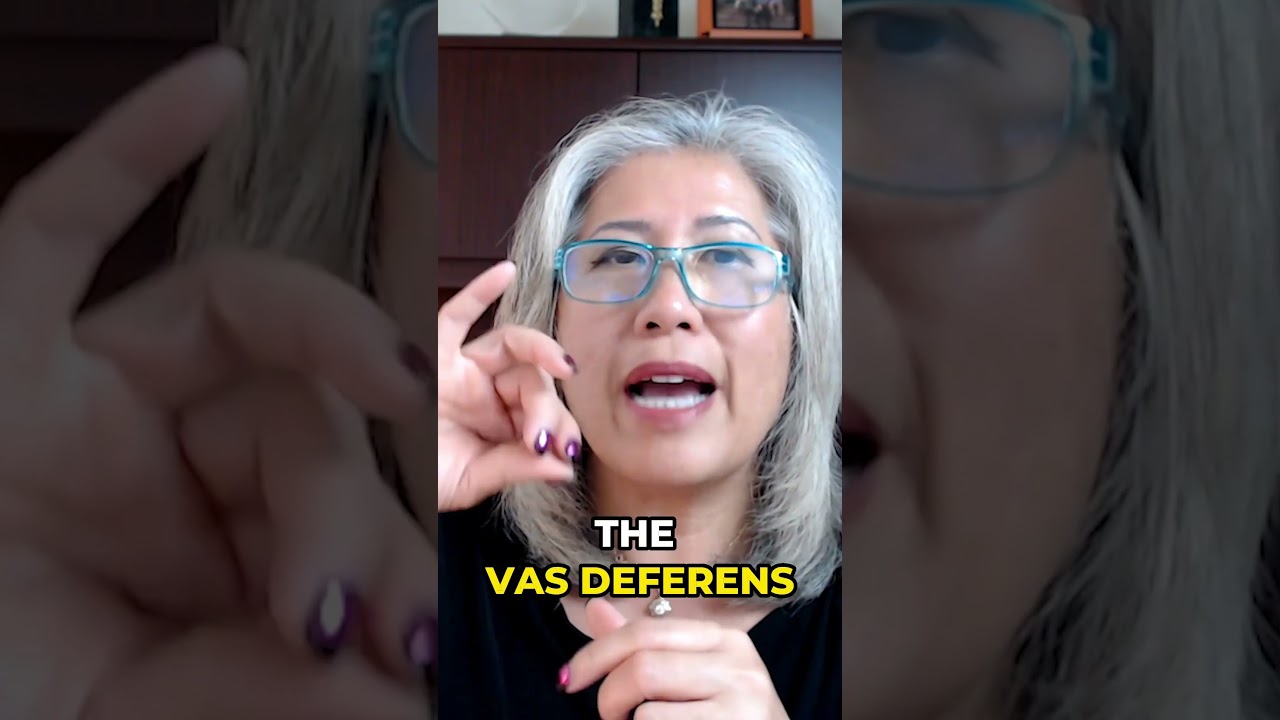 How does oxytocin affect ejaculation in people assigned male at birth? #viral #shorts #oxytocin