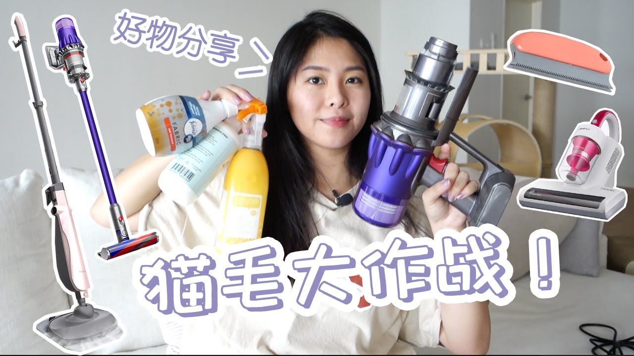 猫毛大作战！ 如何洁癖养猫？好物分享 | 戴森 蒸汽拖把 除毛刷 宠物友善清洁剂