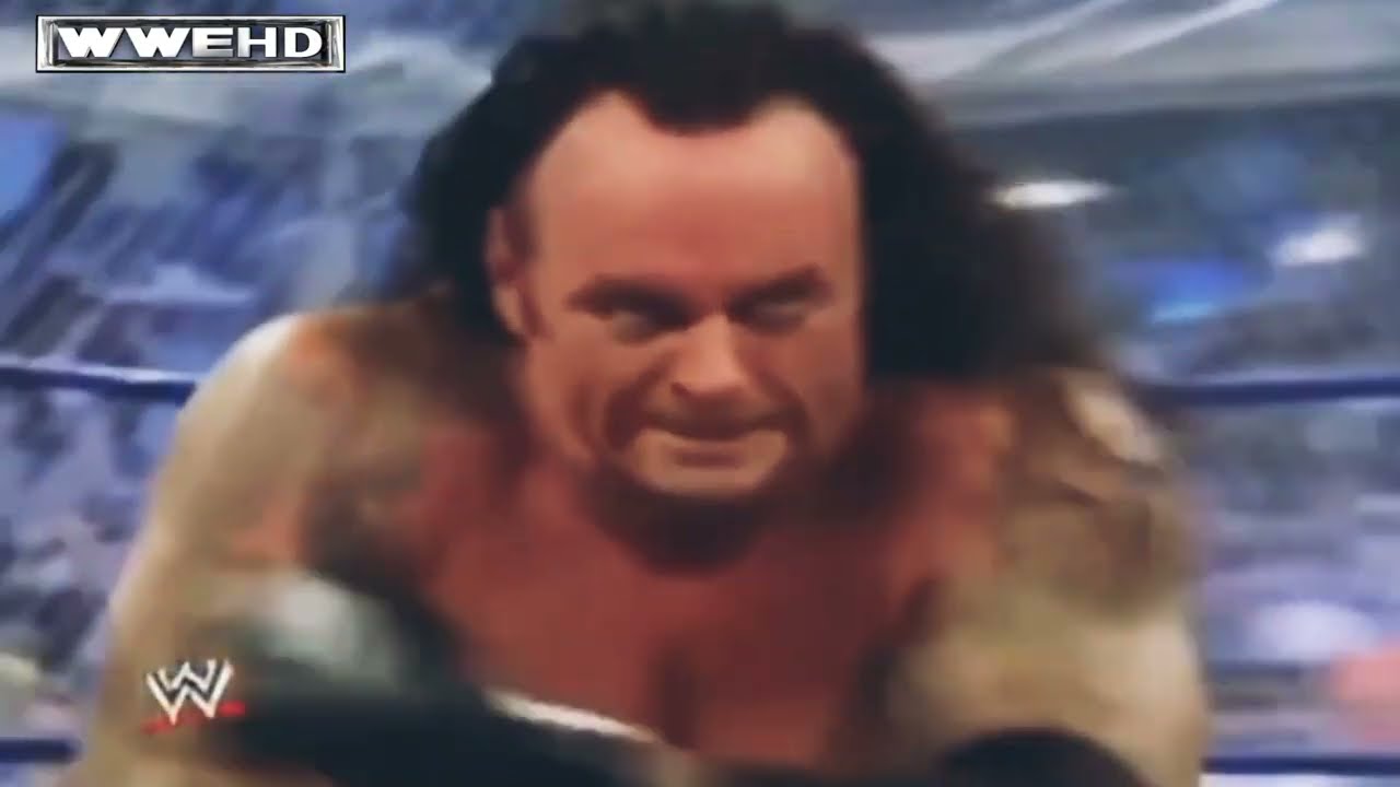 The Undertaker Vs Edge Summer Slam Hell In A Cell Match 2008 Highlights.