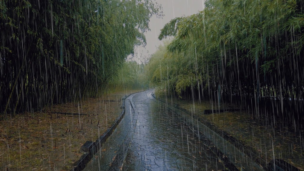 4K ASMR Heavy Rain Walk at Botanical Garden Osaka Japan | Rain Ambience Sounds Relax Sleep Study