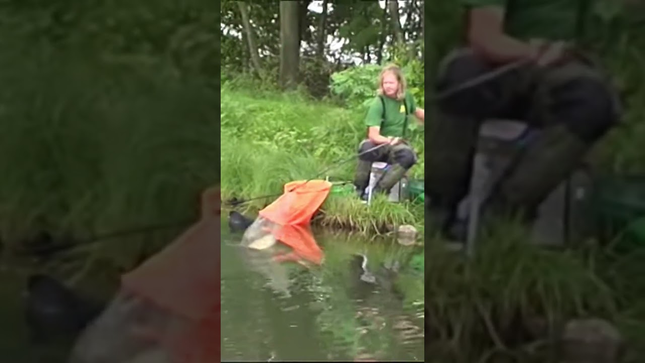 Feeder fishing for beginners. 