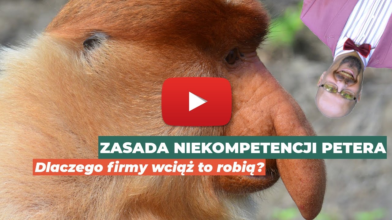 [ZUS] Zasada Petera czyli maksimum niekompetencji