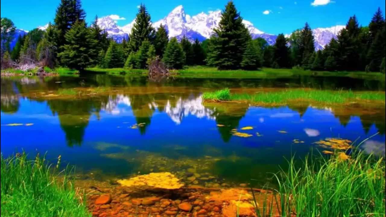 Relaxing harp amazing healing (432 Hz)