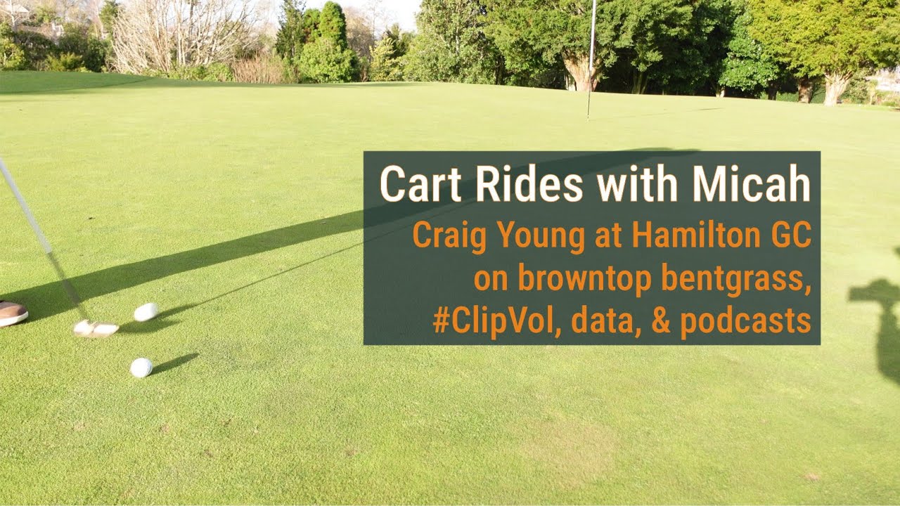 Browntop bentgrass greens and #ClipVol at Hamilton Golf Club with Craig Young
