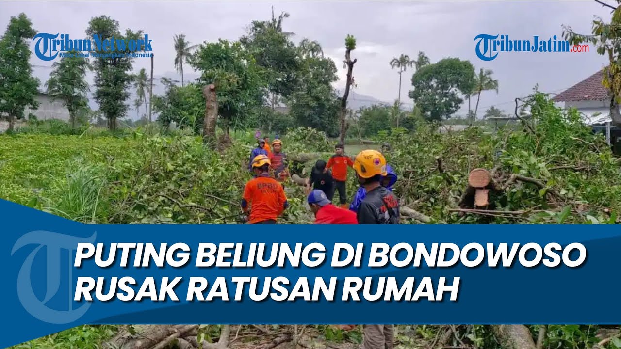 WARGA PANIK BERHAMBURAN, Puting Beliung di Bondowoso Porak porandakan Ratusan Rumah