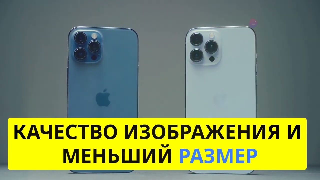 Слух: макросъёмка и JPEG XL в iPhone 16 и 16 Pro by GAMMETS #apple #iPhone #news #new #smartphone
